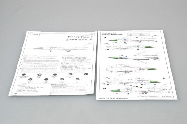 Trumpeter 01625 SU-15 UM Flagon-G (1:72)