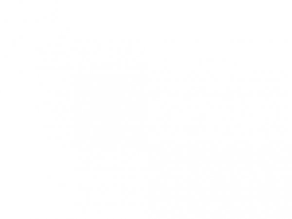 Hataka HTK-Q002 Acrylic Ink White 17ml