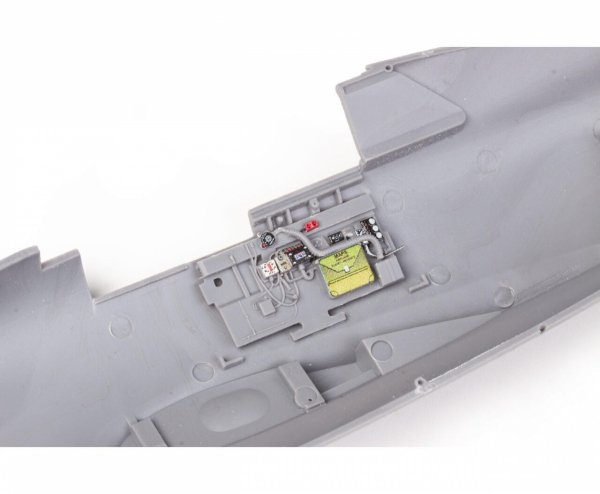 Eduard 3DL48254 P-47D Razorback SPACE MINIART 1/48