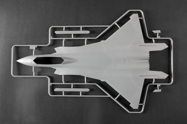 Trumpeter 05864 Chinese J-20S Mighty Dragon 1/48