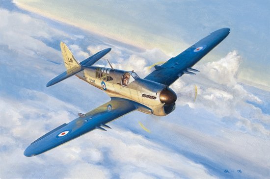 Trumpeter 05810 Fairey Firefly Mk.1 (1:48)