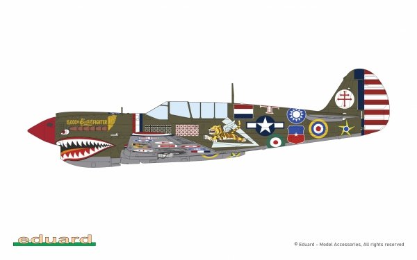 Eduard 11193 15,000th P-40N Warhawk 1/48