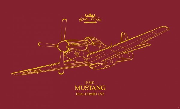Eduard R0021 P-51D MUSTANG DUAL COMBO 1/72