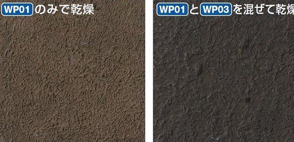 Gunze Sangyo WP03 Weathering Paste Wer Clear (40ml)