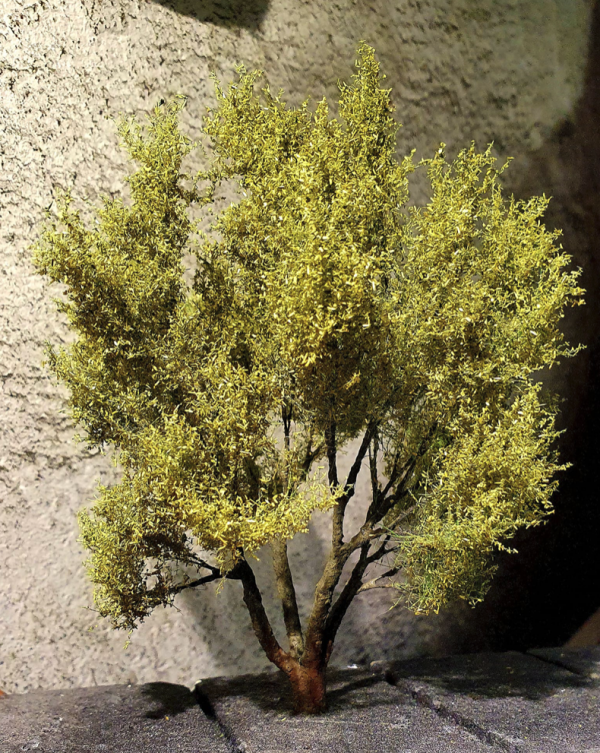 FREON WRB1 Willow Wierzba Biała 15/17cm