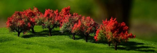 FREON KRZROZA Shrubs  rose - Krzewy róże 2/4cm (10 pcs)