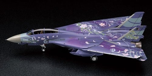 Hasegawa SP291 F-14D Tomcat Ace Combat Sakura 1/48