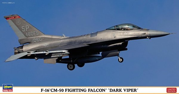 Hasegawa 07522 F-16CM-50 Fighting Falcon 'Dark Viper' 1/48