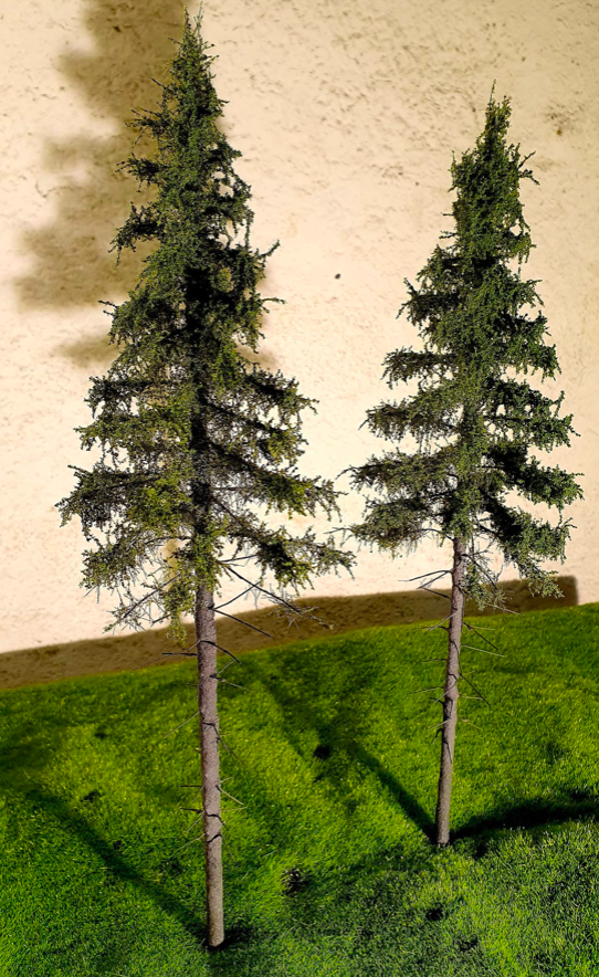 FREON SG2 Mountain Spruce  - Świerk Wysokogórski Większy 18/20 cm 3 sztuki