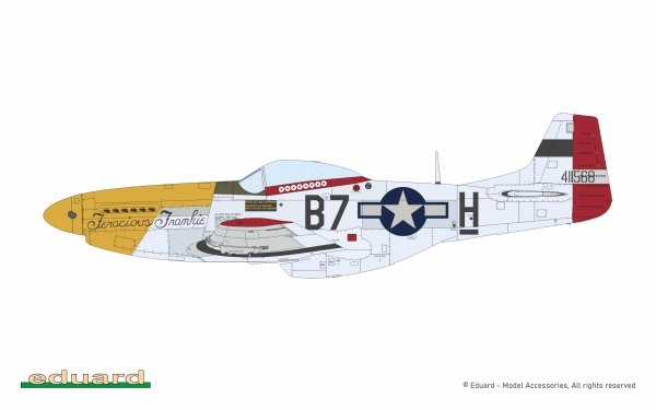 Eduard 11196 North American P-51 D Mustang - Mighty Eight (4th FG, 355th FG, 361st FG and 479th FG Decals) 1/48