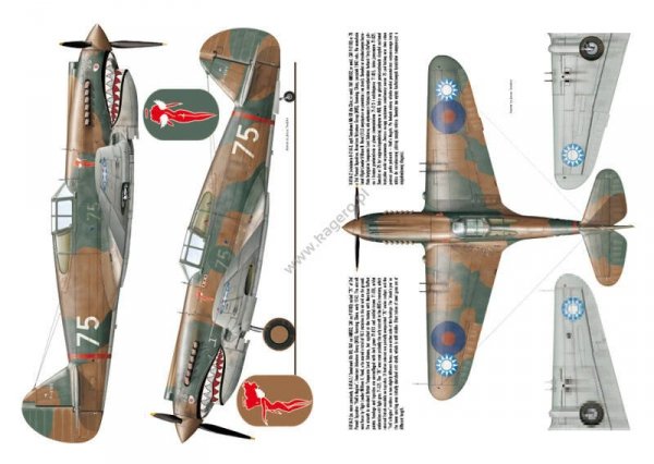Kagero 3036 Curtiss P-40 vol. I EN