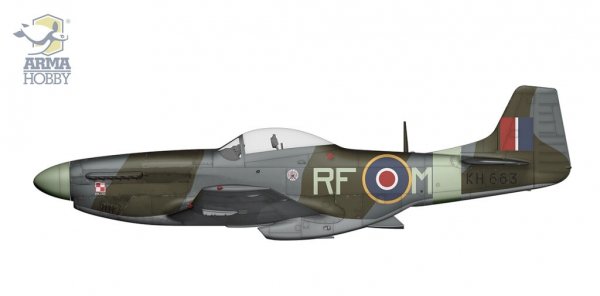 Arma Hobby 70070 P-51D Mustang 1/72