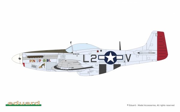 Eduard 11196 North American P-51 D Mustang - Mighty Eight (4th FG, 355th FG, 361st FG and 479th FG Decals) 1/48