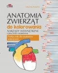 Anatomia zwierząt do kolorowania Narządy wewnętrzne i gruczoły dokrewne