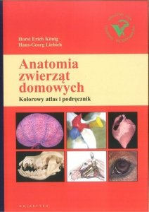 Anatomia zwierząt domowych kolorowy atlas i podręcznik