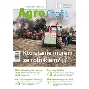Magazyn Agro Profil 11/2020