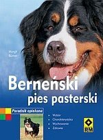 Berneński pies pasterski. Poradnik opiekuna