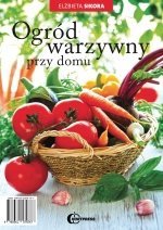 Ogród warzywny przy domu