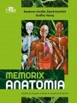 Memorix Anatomia Polsko-angielsko-łacińskie mianownictwo anatomiczne