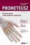 Atlas anatomii człowieka PROMETEUSZ Tom 1 Anatomia ogólna i układ mięśniowo-szkieletowy Mianownictwo łacińskie i polskie