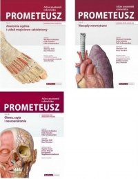 Atlas anatomii człowieka PROMETEUSZ Tom 1-3 Komplet 