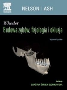 Wheeler Budowa zębów fizjologia i okluzja