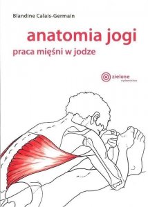 Anatomia jogi praca mięśni w jodze