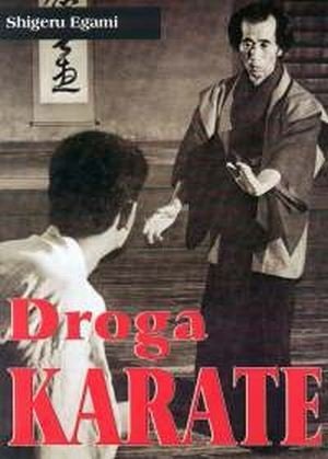 Droga karate