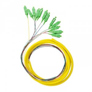 Pigtail światłowodowy Qoltec 12x  SC/APC | SM | G652D | 2m