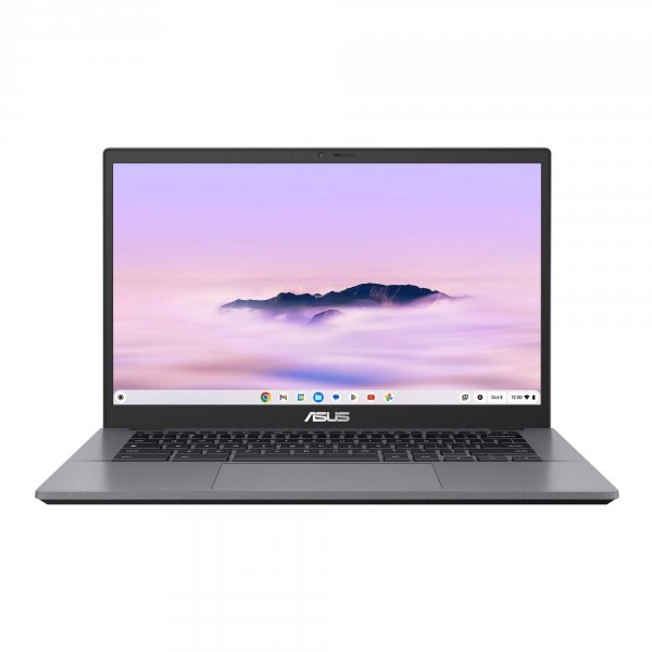 Notebook Asus CB3402CVA-PQ0570 14&amp;quot;FHD/i5-1335U/16GB/UFS256GB/UHD/Chrome OS Rocky Grey 3Y