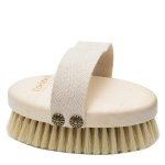 Wet massage brush