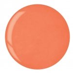Puder do manicure tytanowy - Cuccio dip 14G -  Bright Orange (5607)