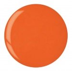 Puder do manicure tytanowy - CUCCIO DIP - Carrot Orange 14G  (5583)
