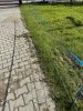 Siatka WildNet - ochrona przed dzikami - 50m x 90cm 