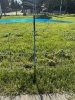 Siatka WildNet - ochrona przed dzikami - 50m x 90cm 
