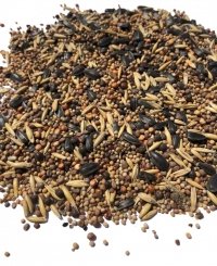 Mieszanka nasion III - gorczyca, wyka, sorgo, owies, rzodkiew oleista 
