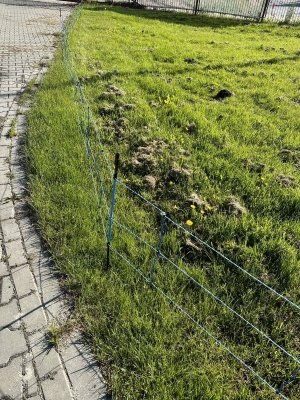 Siatka WildNet - ochrona przed dzikami - 50m x 90cm 