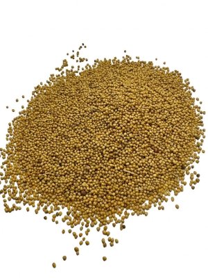 Gorczyca żółta 1kg