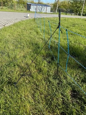 Siatka WildNet - ochrona przed dzikami - 50m x 90cm 