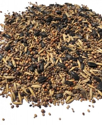 Mieszanka nasion III - gorczyca, wyka, sorgo, owies, rzodkiew oleista 