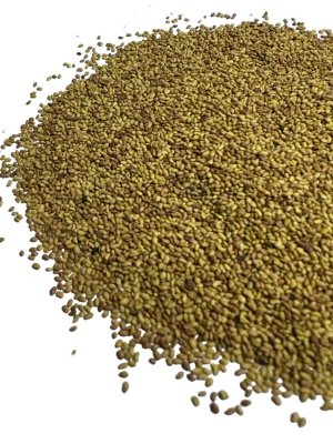 Lucerna ziarno 1kg