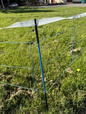 Siatka WildNet - ochrona przed dzikami - 50m x 90cm 
