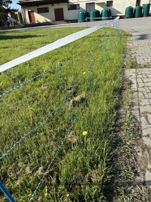 Siatka WildNet - ochrona przed dzikami - 50m x 90cm 