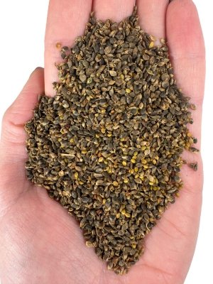 Nostrzyk biały 1kg