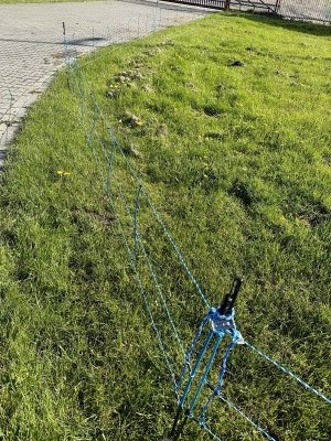 Siatka WildNet - ochrona przed dzikami - 50m x 90cm 