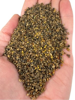 Nostrzyk biały 1kg