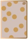 Zeszyt A5 60 kartek w kratkę METALLIC SATIN GOLD mix (94210)