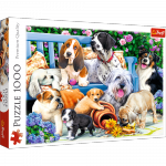 TREFL Puzzle 1000 el. Psy w ogrodzie (10556)