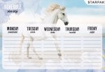 Plan lekcji STARPAK HORSES Konie (494381)