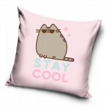 Poduszka jasiek 40 x 40 PUSHEEN Kot Kotek (PTC215005Z)